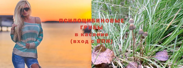 трава Осташков