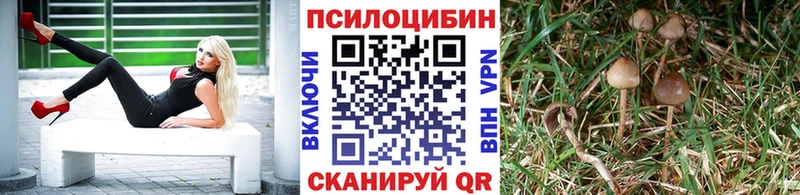 Псилоцибиновые грибы MAGIC MUSHROOMS Ковдор
