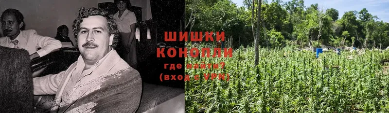 Канабис THC 21%  Ковдор 